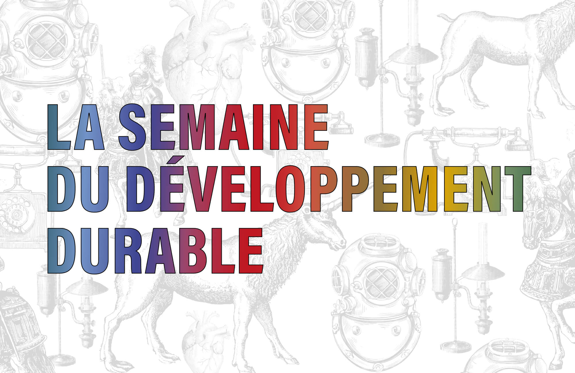 Semaine DD 2025